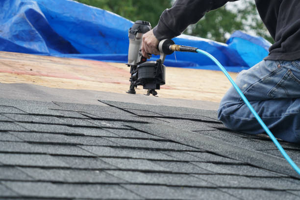 Best Metal Roofing Contractor  in Frostproof, FL
